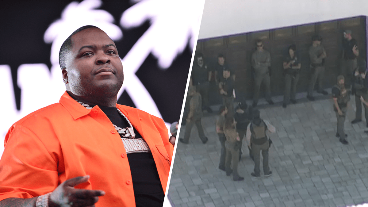 You are currently viewing Sean Kingston’s mom arrested after cops raid Florida mansion – NBC 6 South Florida