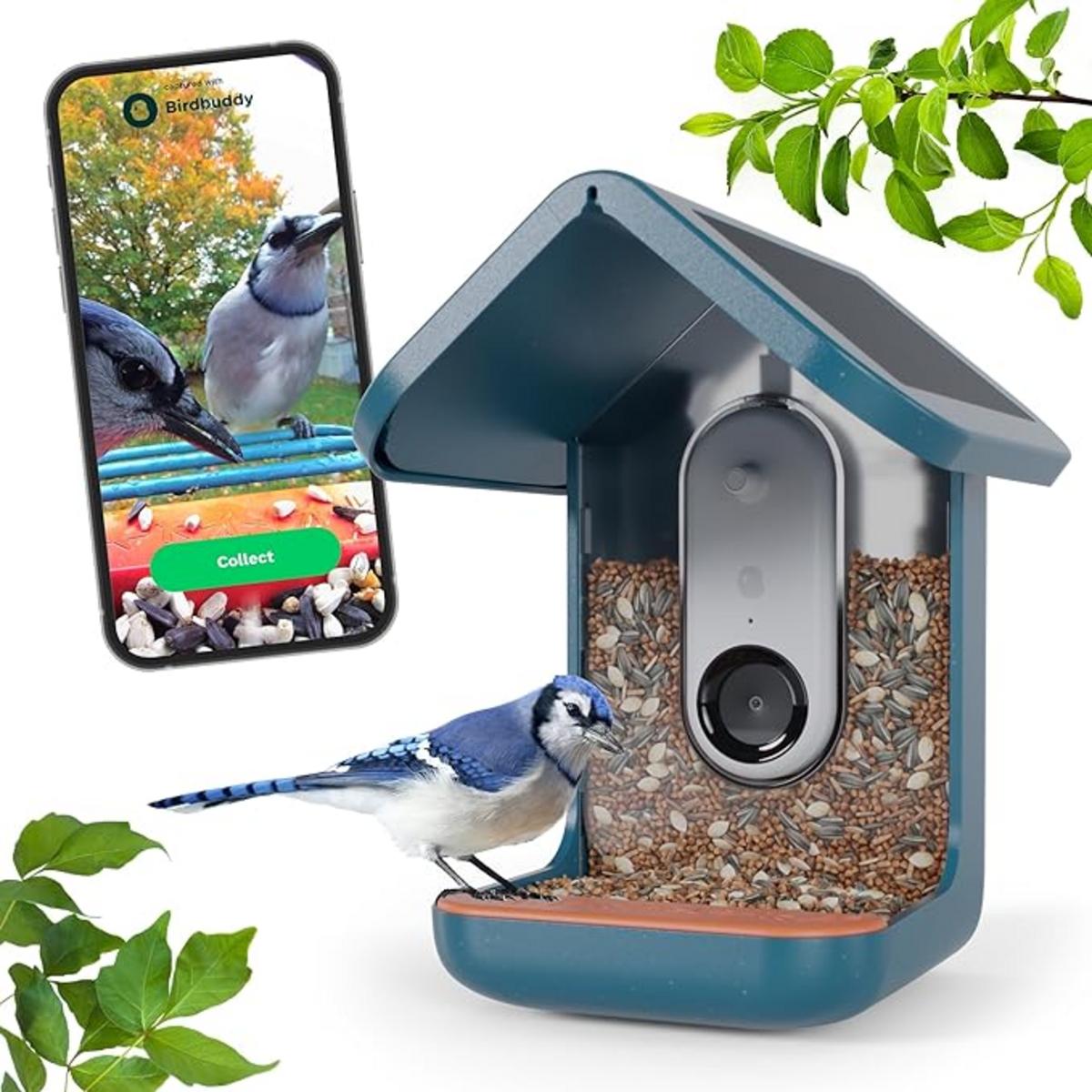 Read more about the article This AI Bird Feeder Is a Must Have For Hudson Valley Bird Watchers – WRRV