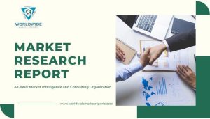 Read more about the article Upcoming Opportunities in Auto Repair Shop Management Software Market: Future Trend and Analysis of Key … – openPR